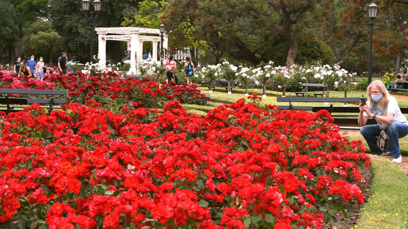 Buenos Aires florece  parte uno