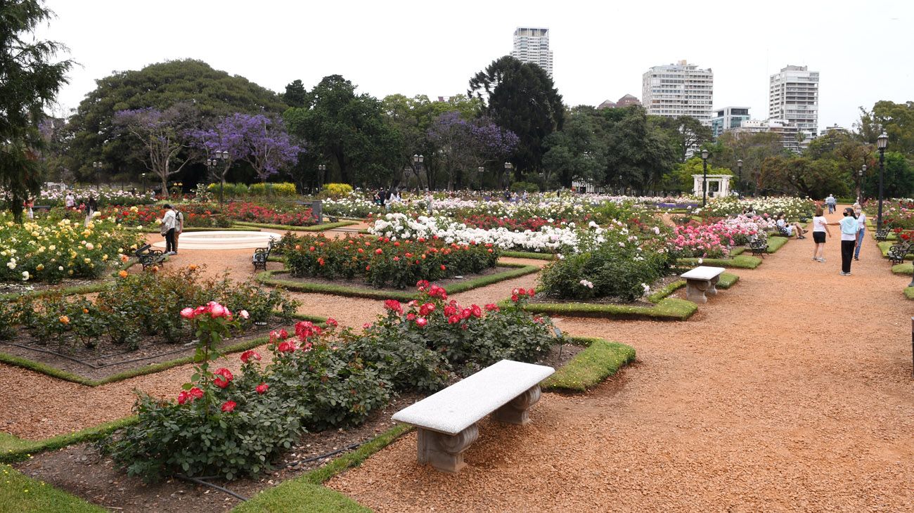 Buenos Aires florece  parte uno