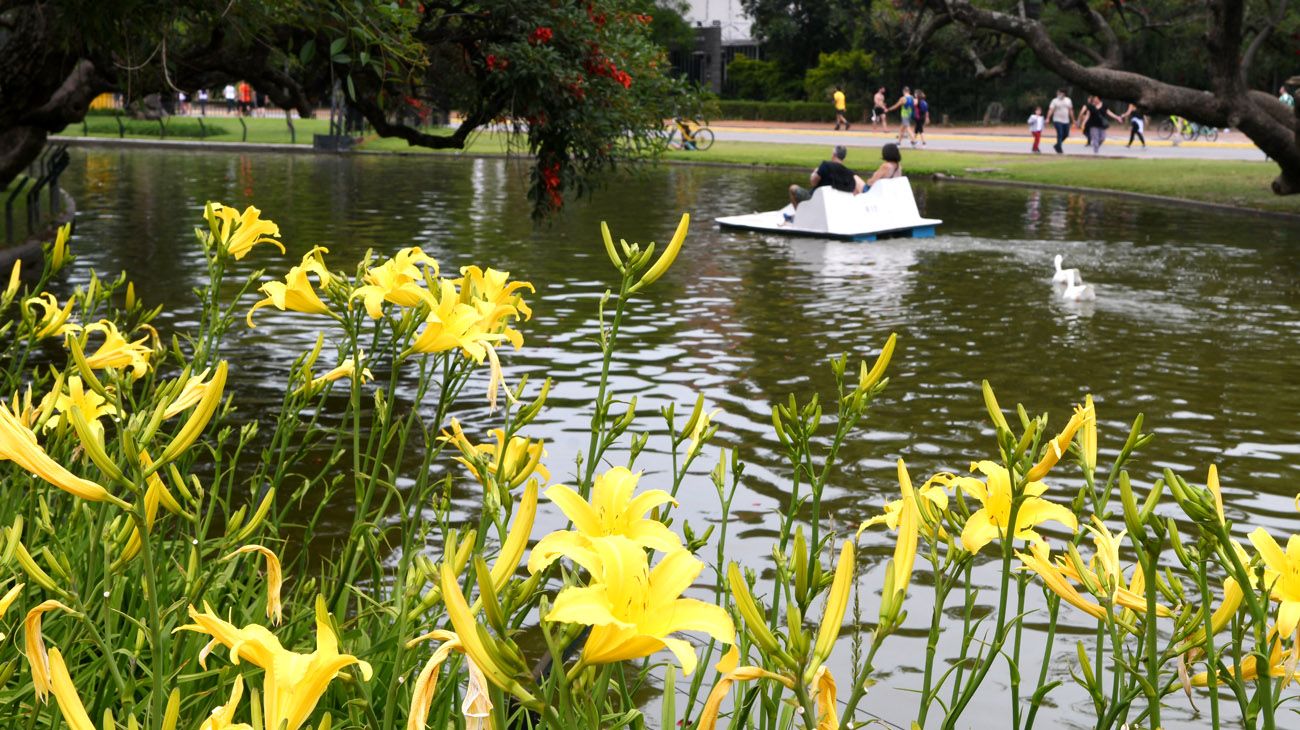 Buenos Aires florece  parte uno