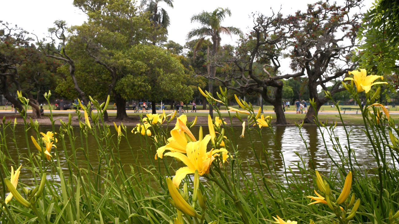 Buenos Aires florece  parte uno