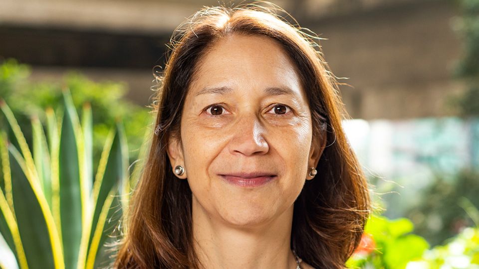 Ana Covarrubias, investigadora del Colegio de México.