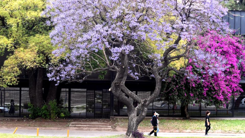 Buenos Aires florece parte dos