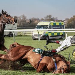 Inglaterra: el jinete británico Sam Twiston-Davies se cae de su caballo Camacho Man en el hipódromo de Warwick durante una carrera de obstáculos para caballos jóvenes. | Foto:David Davies / PA Wire / DPA