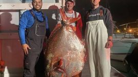 Los tres amigos pescadores estaban a la espera de capturar un pes espada.