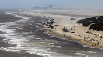 playa con niebla
