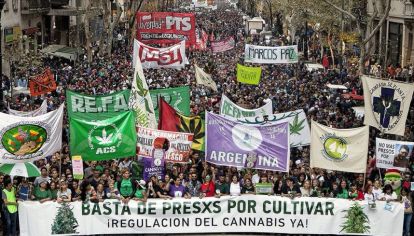 Desde ahora, será legal cultivar marihuana para fines medicinales