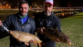 Pesca nocturna de carpas en el arroyo Pergamino