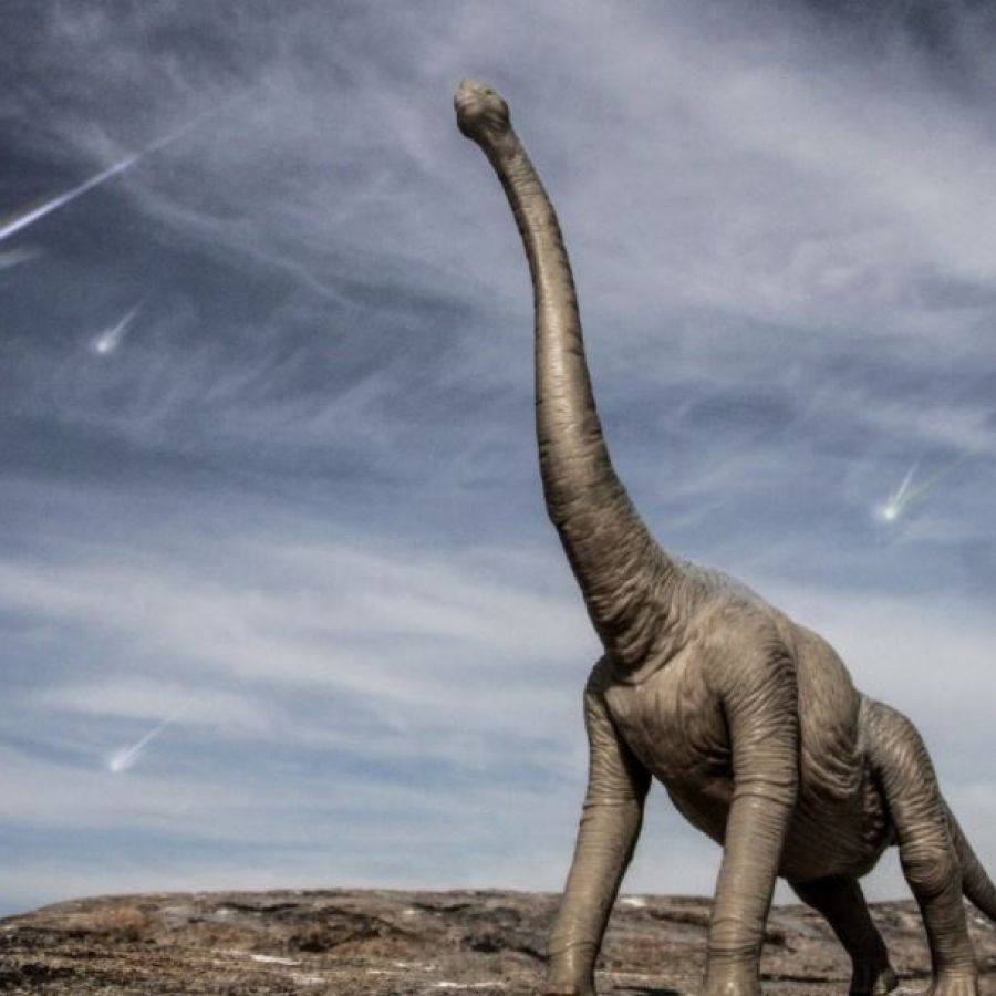 Sin asteroide, hubiéramos tenido dinosaurios para rato | Perfil