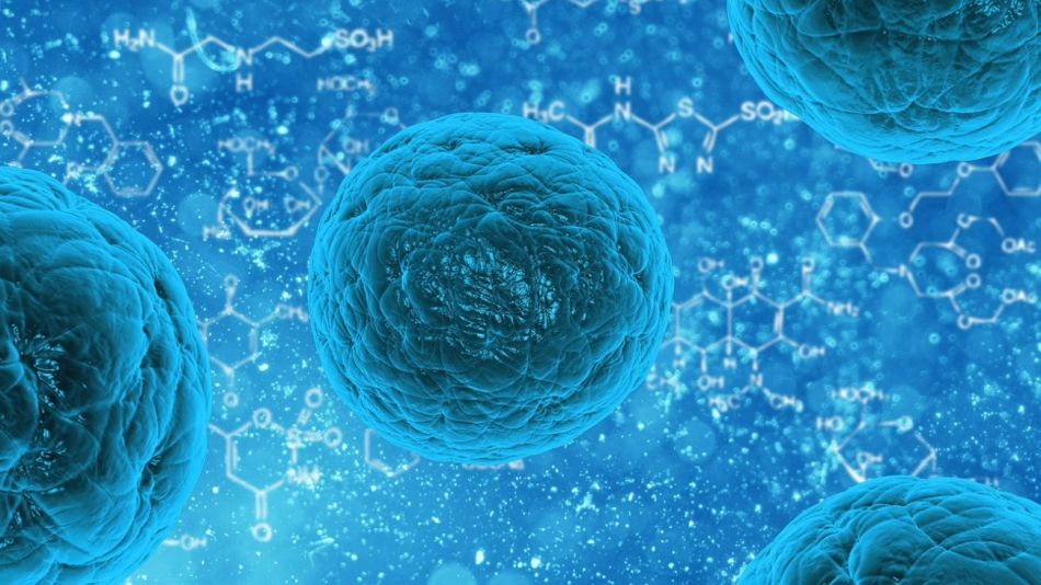 Se registraron dos brotes del virus en Bolivia, uno en 2004 y otro en 2019.