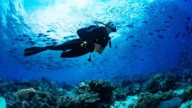 La elección se realizó según la calificación que los lectores daban según categorías determinadas.