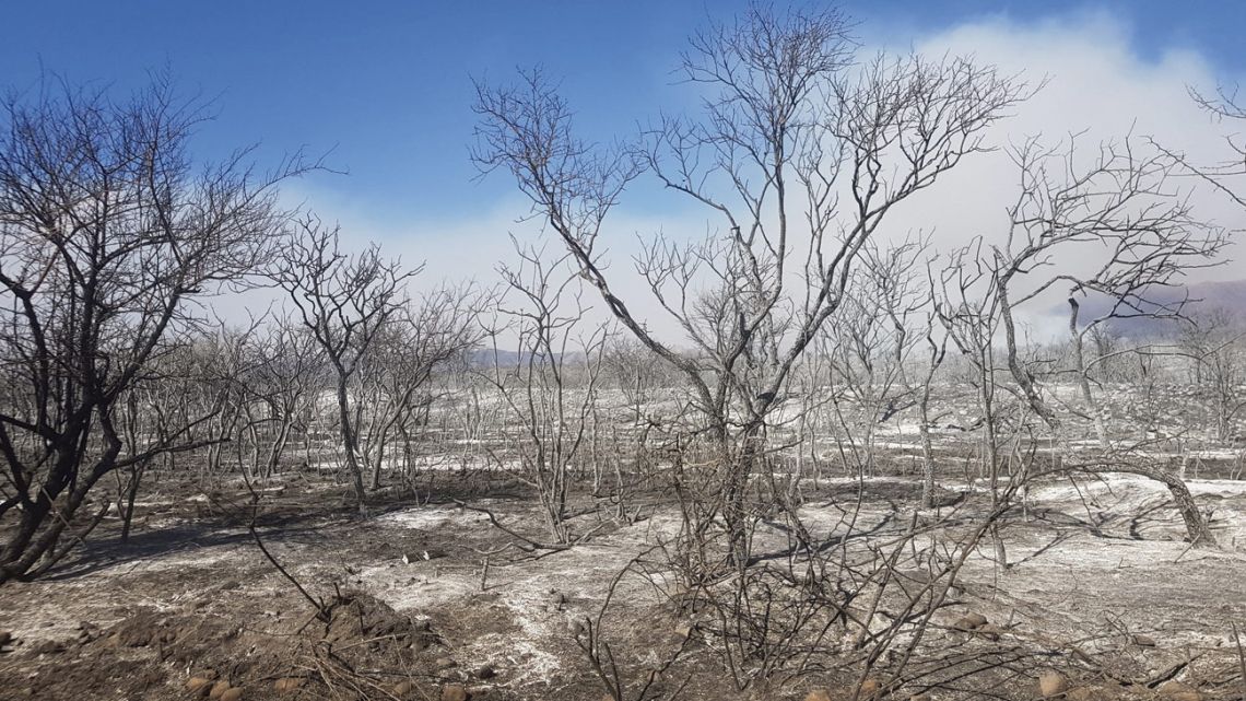 More than one million hectares of land have been devastated by fire so far this year, according to official government figures.