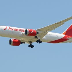 Avianca vuelve a unir Buenos Aires con destinos americanos en vuelos regulares.