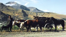 Alto Río Percy, a pocos kilómetros de Esquel, es un pueblo de carreros que merece ser visitado.