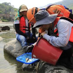 El descubrimiento fue posible gracias al desarrollo de herramientas para estudiar los peces endémicos de Colombia.