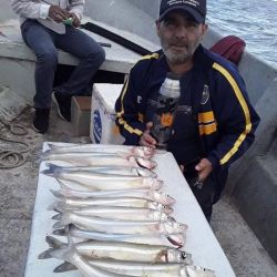 Desde las lagunas al mar, 5 pesqueros que este fin de semana entregaron tarariras, pejerreyes, lenguados y hasta tiburones.
