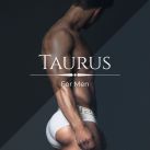 Taurus For Men
