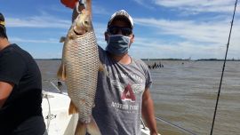 Pesca de grandes bogas en Berisso