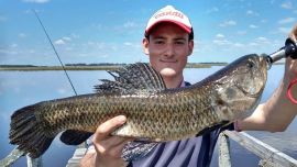 Con el calor, carpas y tarariras se encuentran arroyos y lagunas próximos a la Ruta 2.
