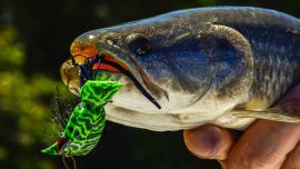 2411_pesca_concepcion