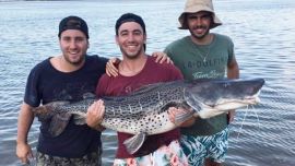 Pesca de dorados y surubíes en Itatí, Corrientes