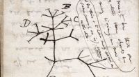 El árbol de la vida, dibujo original de Charles Darwin