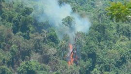 Hasta el momento, ya son 50 los focos de incendio que siguen activos en la provincia mesopotámica.