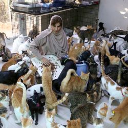 Maryam Al Balushi alimenta a sus mascotas en su casa, la capital de Omán, Muscat. - A pesar de las quejas de los vecinos y el aumento de los gastos, ha acumulado 480 gatos y 12 perros, y describe a sus mascotas como una mejora del estado de ánimo y mejores compañeros que sus compañeros. humanos. | Foto:MOHAMMED MAHJOUB / AFP