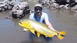 Pesca de dorados, surubíes y chafalotes en Santa Fe.