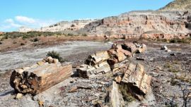 El proyecto aprobado promueve el ordenamiento y uso sostenible del área provincial.