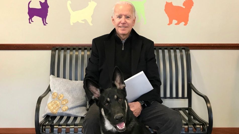 Biden Accidente con Mascota