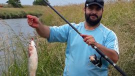Lisas de buen tamaño muy cerca de Mar del Plata