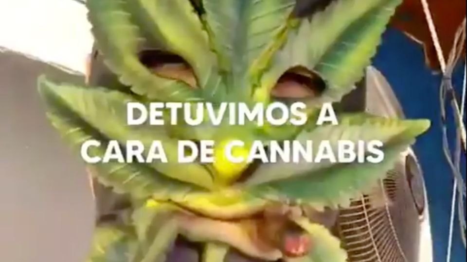 La policía bonaerense detuvo a "Cara de Cannabis" y Berni celebró el operativo.