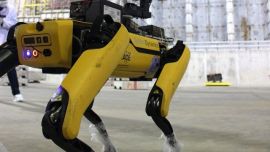 Spot fue elegido, entre varios postulantes, después de sortear muchas pruebas.s despuenpt