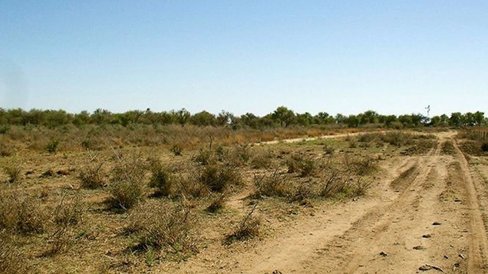 El cambio de suelo se basó en razones agrícolas.