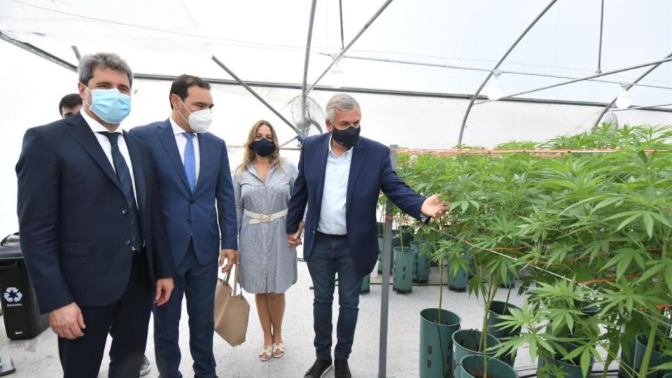 Los gobernadores Morales, Uñac y Valdés presentes en el anuncio de la producción de cannabis medicinal en Jujuy.