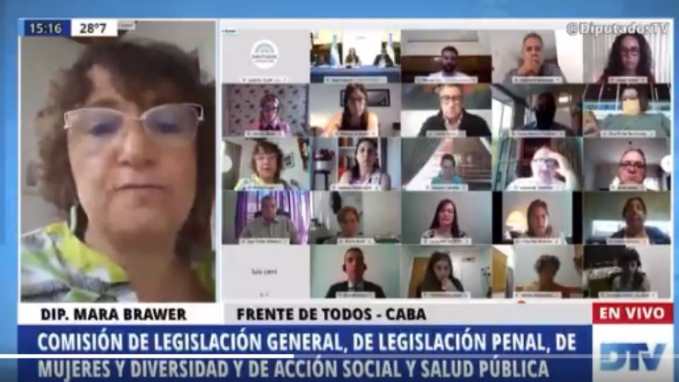 La diputada Mara Brawer, contando en el debate de comisión en Diputados los posteos de Guadalupe Batallán en redes sociales.