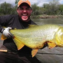 Pesca de dorados en el río Juramento, Salta.