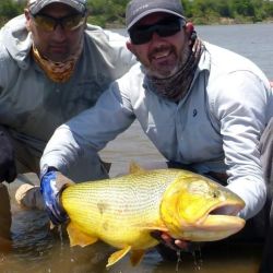 Magnífica pesca de dorados en el río Dulce