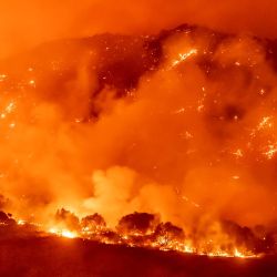 EE. UU., Silverado Canyon: Bond Fire, impulsado por fuertes vientos, quema las laderas al oeste de Santiago Canyon Road cerca de Silverado Canyon. | Foto:Leonard Ortiz / DPA