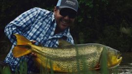 Pesca de dorados en el río Juramento, Salta.