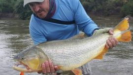 Magnífica pesca de dorados en el río Dulce