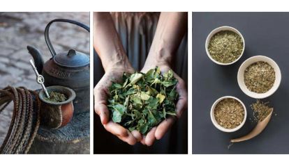 Secretos para recuperar el ritual del mate post pandemia