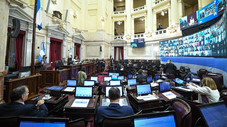 Votación del impuesto solidario en el Senado.