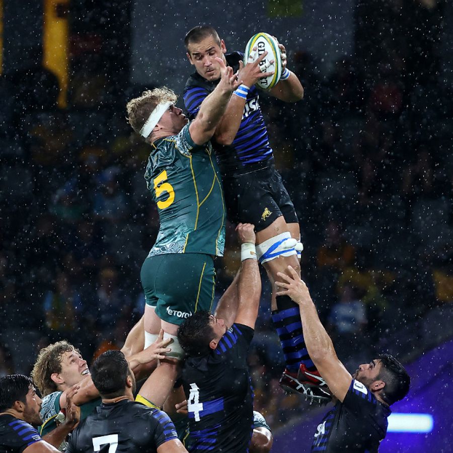 La peor semana de Los Pumas se cerró con un empate 16 -16 ante Australia |  442
