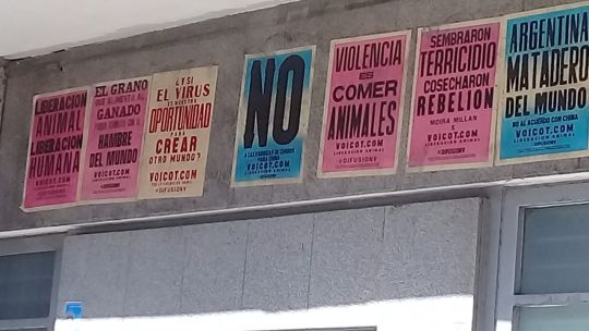 Afiches vía pública