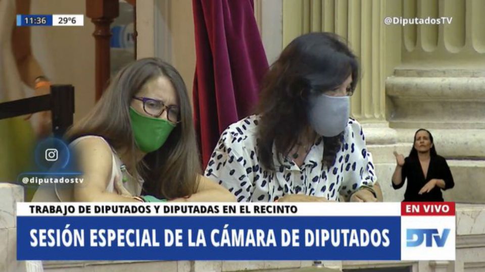 Vilma Ibarra y Elizabeth Gómez Alcorta, en un palco del Senado. Foto: DTV