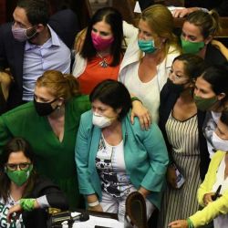 Aborto legal Diputados dio media sanción | Foto:Juan Obregon