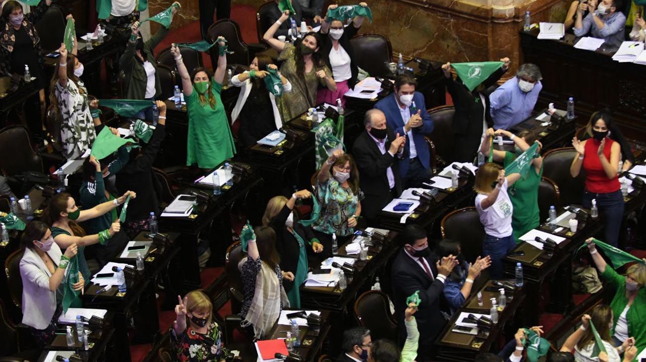 Diputados le dio media sanción a la legalización del aborto y ahora se define en el Senado