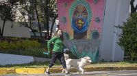 Perros en México con Coronavirus 20201211