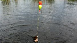 1012_pesca_tarariras